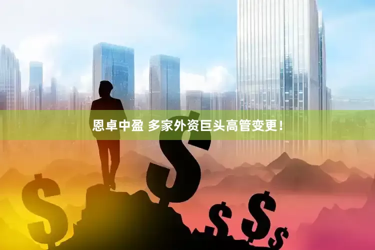 恩卓中盈 多家外资巨头高管变更！
