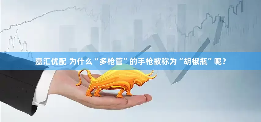 嘉汇优配 为什么“多枪管”的手枪被称为“胡椒瓶”呢？